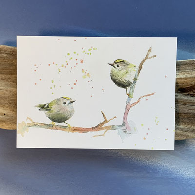 P04 Wintergoldhähnchen