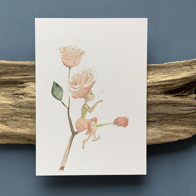 B23 Rosalie Rose