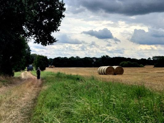 Wandern in der westlichen Altmark - Wanderweg bei Diesdorf, c Amanda Hasenfusz