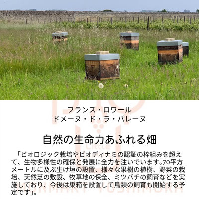 ドメーヌ　ド　ラ　パレーヌの自然の生命力あふれる畑