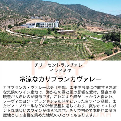 チリ・インドミタ・カサブランカ