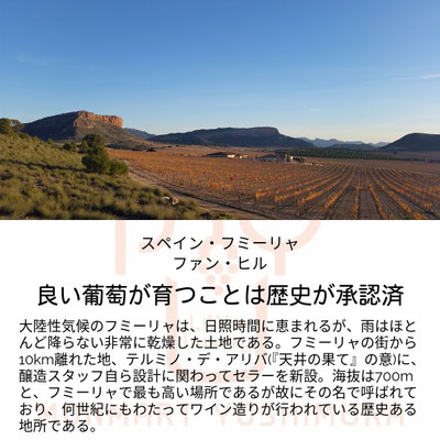 ファン・ヒルのテロワール