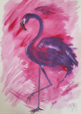 Flamingo