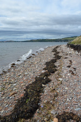 The Black Isle shore