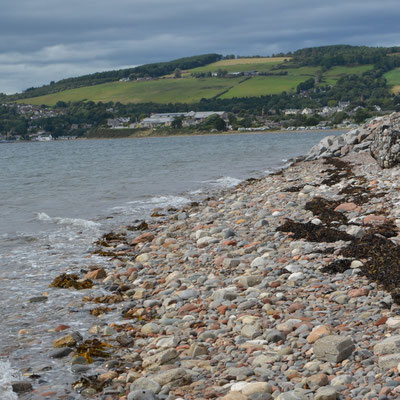 Looking up from the shore to the fields where Black Isle Yarns sources it's sheep wool