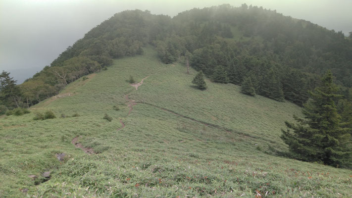 大菩薩嶺、石丸峠付近