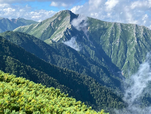 蝶ヶ岳からの常念岳