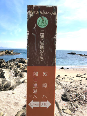 三浦、岩礁の道