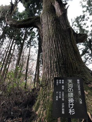御岳山、天狗の腰掛