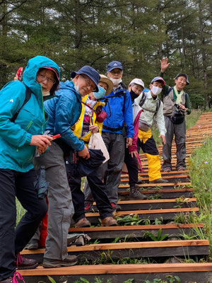 入笠山、入笠湿原の木道にて、