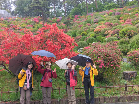 半月山中止の代替個人山行、塩舟観音寺と霞丘陵ハイキング