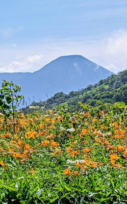 蓼科山