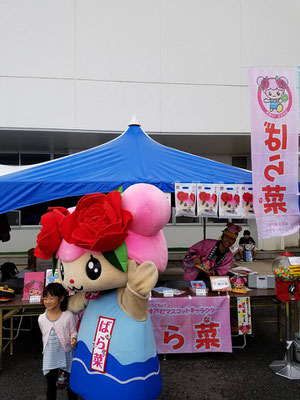 16 Go ご どんとこい祭り ばら菜の日記 神戸町公式マスコットキャラクター 16 Go ご どんとこい祭り ばら菜の日記 神戸町公式マスコットキャラクター