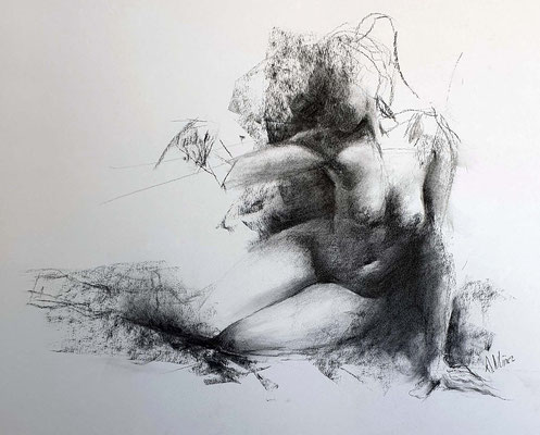 Antonio Núñez García (Desnudo, carboncillo 32 x 50 cm)