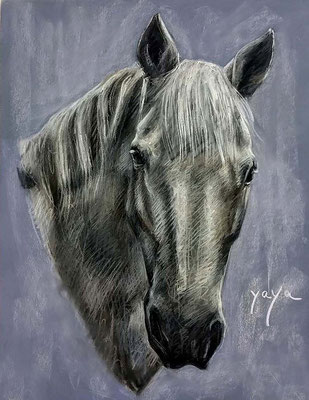 Olalla Mancha (Cabeza de caballo, pastel 65 x 50 cm)