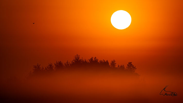 Sonnenaufgang, Veröffentlicht am 16.10.2024