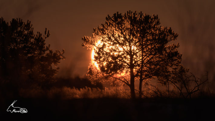 Sonnenuntergang, Veröffentlicht am 22.02.2023