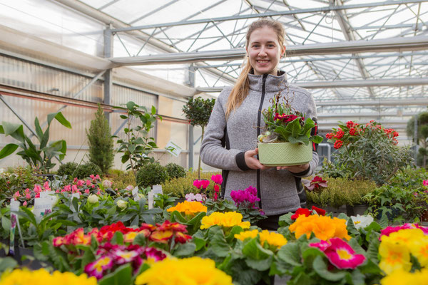 Blumen und Pflanzen kaufen und bestellen in Würzburg, Unterfranken, Mainfranken