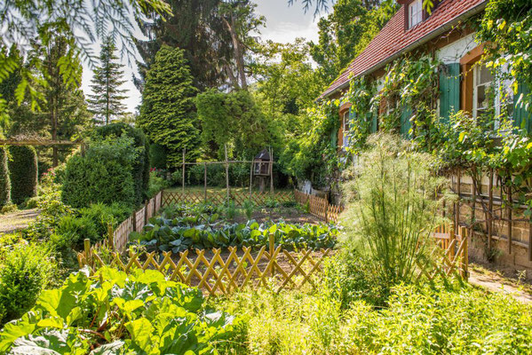 Gemüsegarten Altes Forstamt