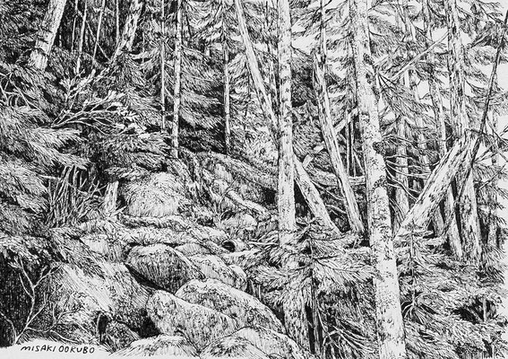 北八ヶ岳　苔の森　2024　　Ink on paper.     Private collection.