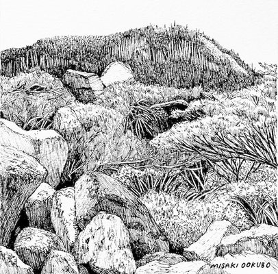縞枯山へ　　2025   Ink on paper. 
