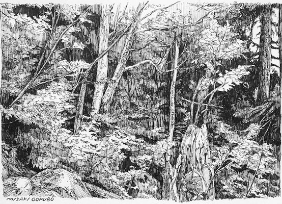 北アルプス　湿気のある森　　2021　Ink on paper.   Private collection.