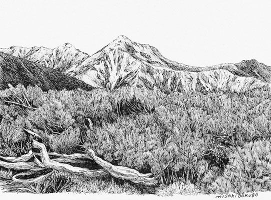這松の向こう　2024   Ink on paper. 