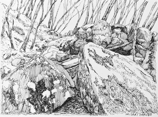 西丹沢　畦ヶ丸　2018.   Ink on paper. 