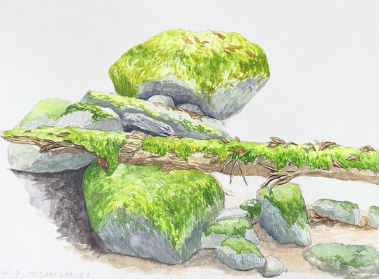 西丹沢　畦ヶ丸　秋　倒木　Watercolor.  2021