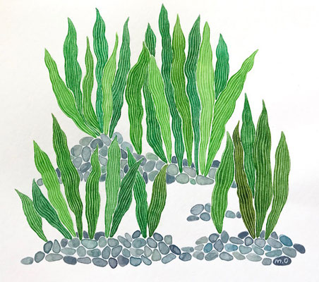 「夏草の林」　Watercolor.　2018