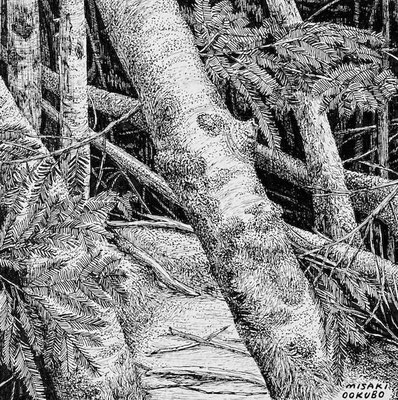 苔むす森   2025   Ink on paper.  Private collection.