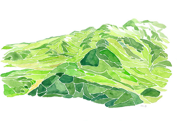 「Summer of Mt.Tateyama. 」 　Watercolor. 2016