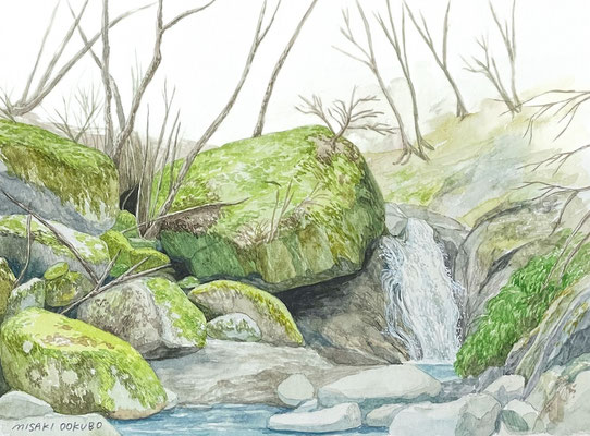 西丹沢　畦ヶ丸の小さな滝　Watercolor.  2025