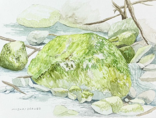 西丹沢　畦ヶ丸　苔むす岩　Watercolor.  2025