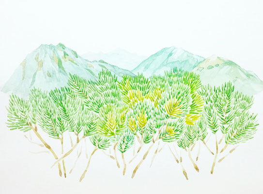「這松と山脈」　　Watercolor. 2016