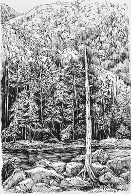 北八ヶ岳　亀甲池　2020.   Ink on paper. 