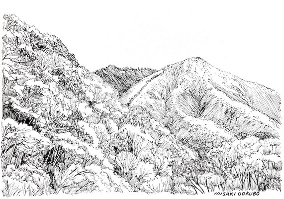 西丹沢　畦ヶ丸　第一堰堤上から　2022.   Ink on paper. 