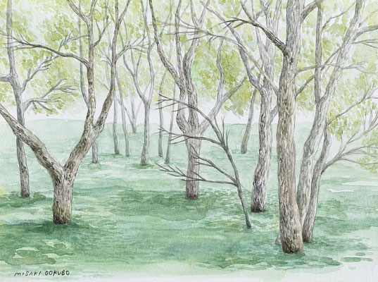 山形県飯豊町中津川　水没林　　Watercolor.  2025