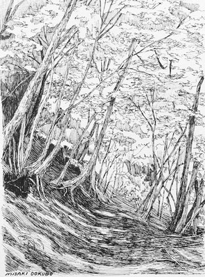 西丹沢　檜洞丸　　2021. Ink on paper. 