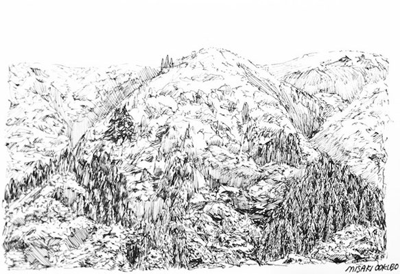西丹沢　檜洞丸　2019.   Ink on paper. 