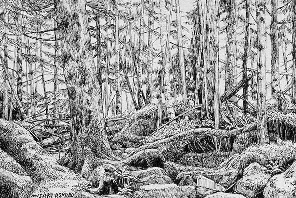北八ヶ岳　森の根　2024    Ink on paper.    Private collection.
