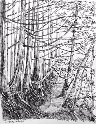 奥多摩　雲取山　2019.  Ink on paper. 