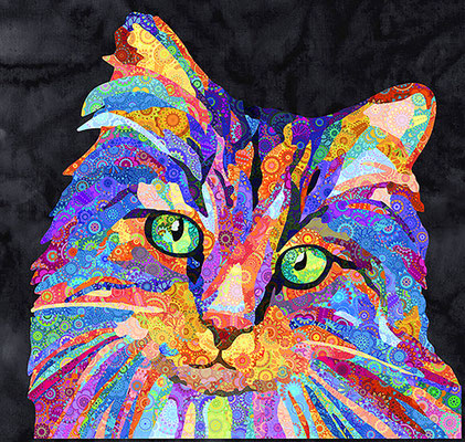Rainbow Cat