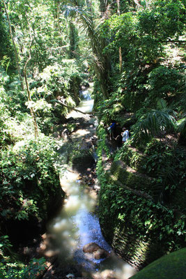 Ubud - Affenwald