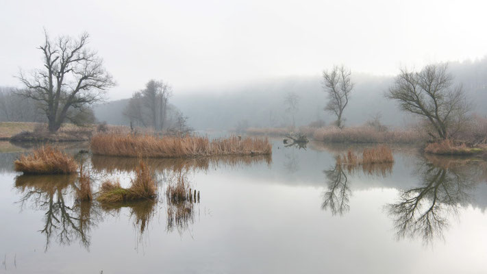 Foto: R. Wittmann -Donau-Auen