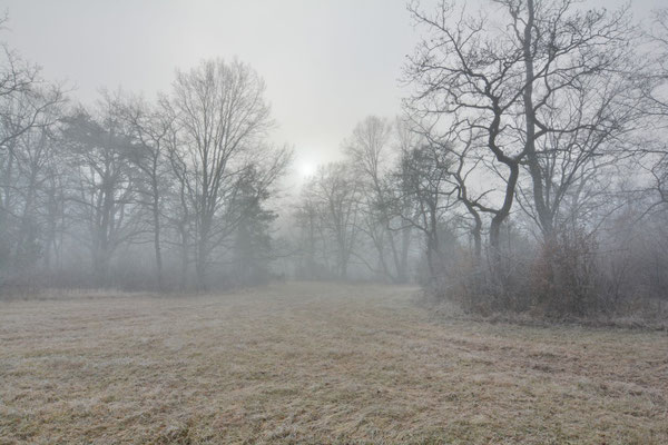 Foto: R. Wittmann -Donau-Auen