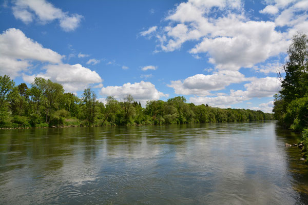 Foto: R. Wittmann -Donau-Auen