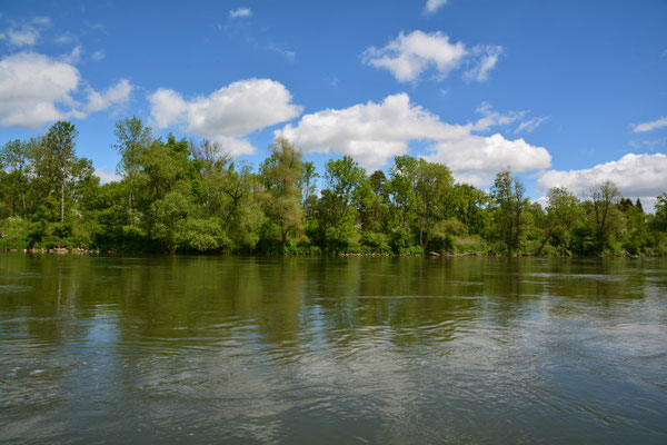 Foto: R. Wittmann -Donau-Auen