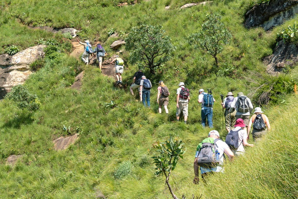 Drakensberge - P303021159