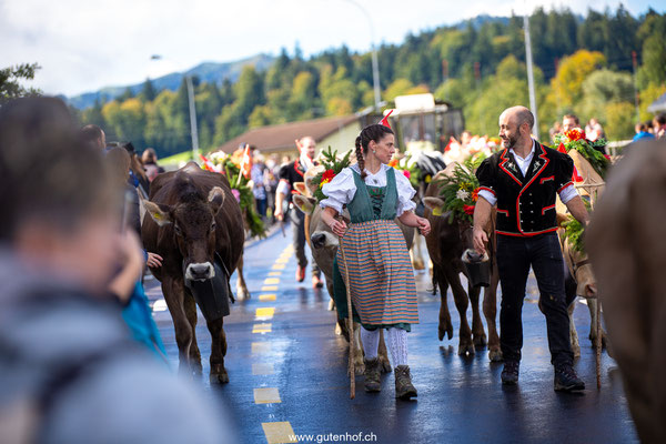 Alpabfahrt Schüpfheim Entlebuch 2025